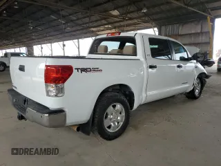 2010 Toyota Tundra with VIN 5TFEY5F13AX081869, listed as a Copart auction lot 58981615 with Not provided miles and Salvage title. Bid and sale history available at DreamBid. Image 3.