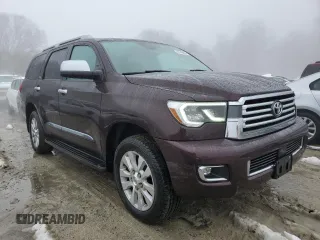 2019 Toyota Sequoia Platinum with VIN 5TDDY5G15KS167508, listed as a Copart auction lot 45140485 with 117,197 mi miles and Salvage Title. Bid and sale history available at carsss.com. Image 4.
