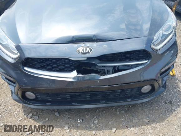 2019 Kia Forte LXS with VIN 3KPF24AD8KE062723, listed as a IAAI auction lot 42511450 with 47,925 mi miles and . Bid and sale history available at DreamBid. Image 6.