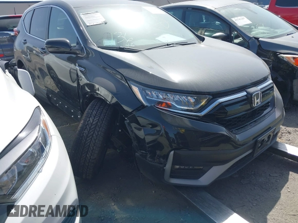 2020 Honda CR-V EX with VIN 7FART6H51LE019894, listed as a IAAI auction lot 41741587 with Not Provided miles and . Bid and sale history available at DreamBid. Image 1.