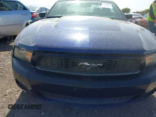 2011 Ford Mustang V6 with VIN 1ZVBP8AM5B5137104, listed as a IAAI auction lot 42183969 with 154,402 mi miles and . Bid and sale history available at DreamBid. Image 6.