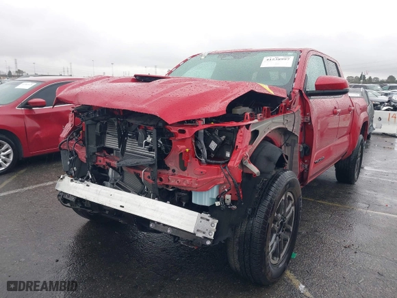 2024 Toyota Tacoma 4WD SR5 with VIN 3TYLB5JN3RT021289, listed as a IAAI auction lot 41538997 with 8,186 mi miles. Bid and sale history available at carsss.com. Image 2.