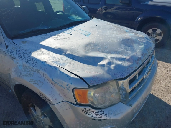 2010 Ford Escape XLT with VIN 1FMCU0D7XAKD16869, listed as a IAAI auction lot 41884141 with 145,781 mi miles. Bid and sale history available at carsss.com. Image 6.