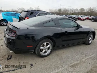 2013 Ford Mustang V6 with VIN 1ZVBP8AM7D5207785, listed as a Copart auction lot 80505444 with 180,901 mi miles and Salvage title. Bid and sale history available at DreamBid. Image 3.