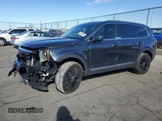 2020 Kia Telluride EX z VIN 5XYP34HC6LG001907, wystawiony jako Copart lot #49150095 z przebiegiem 98 978 mil mil oraz Szkoda całkowita • Salvage title. Historia ofert i sprzedaży dostępna na DreamBid. Obrazek 1.