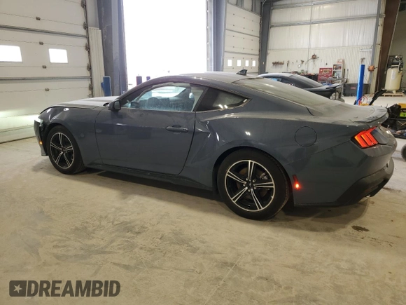 2024 Ford Mustang EcoBoost with VIN 1FA6P8TH6R5127413, listed as a Copart auction lot 49293395 with 14,569 mi miles and Salvage Title. Bid and sale history available at DreamBid. Image 2.