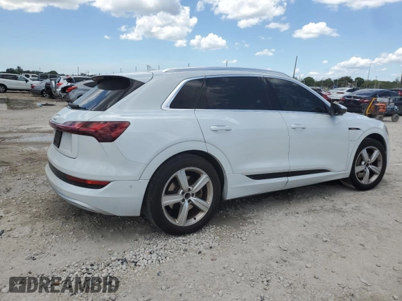 2019 Audi e-tron Prestige with VIN WA1VAAGE0KB013133, listed as a Copart auction lot 57060255 with 50,222 mi miles and Salvage title. Bid and sale history available at DreamBid. Image 3.
