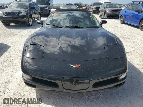 2004 Chevrolet Corvette with VIN 1G1YY32G245117541, listed as a Copart auction lot 77487344 with 43,759 mi miles and Salvage Title. Bid and sale history available at carsss.com. Image 5.