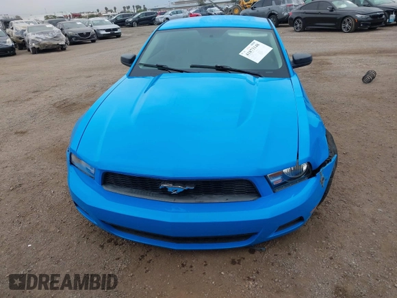 2010 Ford Mustang V6 with VIN 1ZVBP8AN9A5157640, listed as a IAAI auction lot 41873148 with 147,969 mi miles and . Bid and sale history available at carsss.com. Image 13.