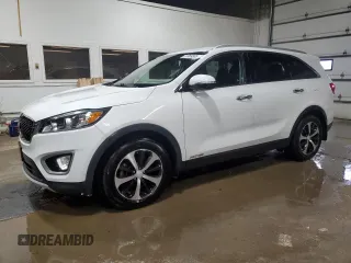 2016 Kia Sorento EX with VIN 5XYPHDA55GG005854, listed as a Copart auction lot 51369385 with 104,296 mi miles and Clean Title. Bid and sale history available at carsss.com. Image 1.