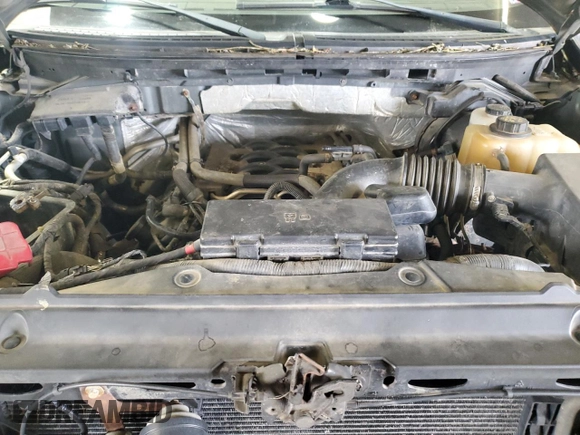 2011 Ford F-150 XL with VIN 1FTFX1EF2BFB01047, listed as a Copart auction lot 52690575 with 159,294 mi miles and Salvage Title. Bid and sale history available at carsss.com. Image 11.