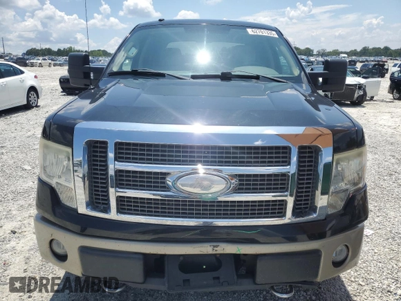 2009 Ford F-150 XL with VIN 1FTPW14V79FA60490, listed as a Copart auction lot 62701335 with 167,017 mi miles and Salvage title. Bid and sale history available at DreamBid. Image 5.