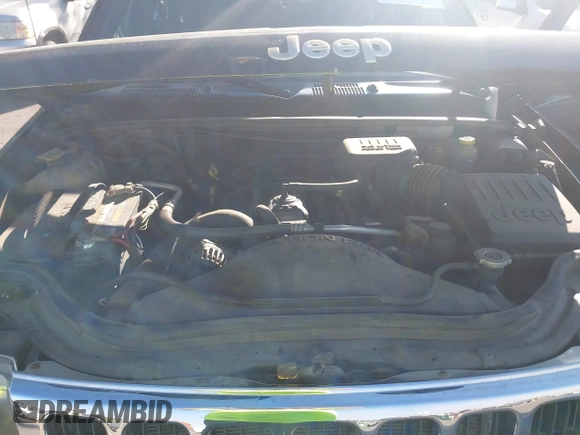 1999 Jeep Grand Cherokee Laredo with VIN 1J4GW58S0XC538913, listed as a IAAI auction lot 42684467 with 241,252 mi miles and . Bid and sale history available at DreamBid. Image 10.
