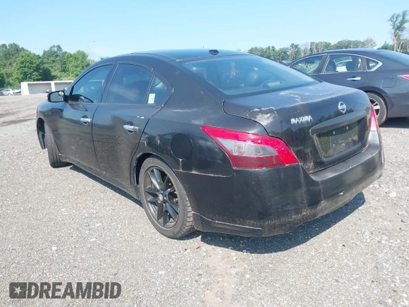 2010 Nissan Maxima SV с VIN 1N4AA5APXAC815628, выставлен на аукционе IAAI как лот 42645791 с пробегом 169 237 миль миль и . История ставок и продаж доступна на DreamBid. Изображение 3.