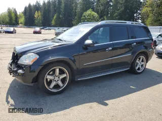2009 Mercedes-Benz GL-Class 5.5L with VIN 4JGBF86E79A442589, listed as a Copart auction lot 54048445 with 118,221 mi miles and Salvage Title. Bid and sale history available at carsss.com. Image 1.