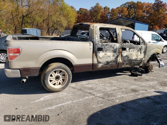 2010 Ford F-150 XL with VIN 1FTFW1EV7AFD53711, listed as a Copart auction lot 76957464 with 0 mi miles and Salvage Title. Bid and sale history available at carsss.com. Image 3.