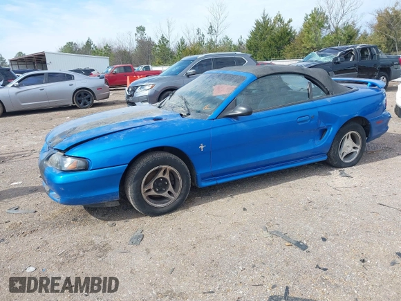 1998 Ford Mustang with VIN 1FAFP4441WF119648, listed as a IAAI auction lot 41588074 with 128,343 mi miles. Bid and sale history available at carsss.com. Image 2.
