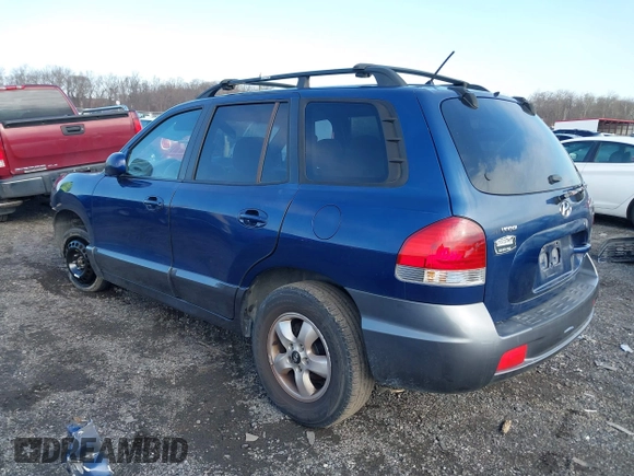 2006 Hyundai Santa Fe GLS with VIN KM8SC13D76U100145, listed as a IAAI auction lot 41093265 with 164,028 mi miles. Bid and sale history available at carsss.com. Image 3.