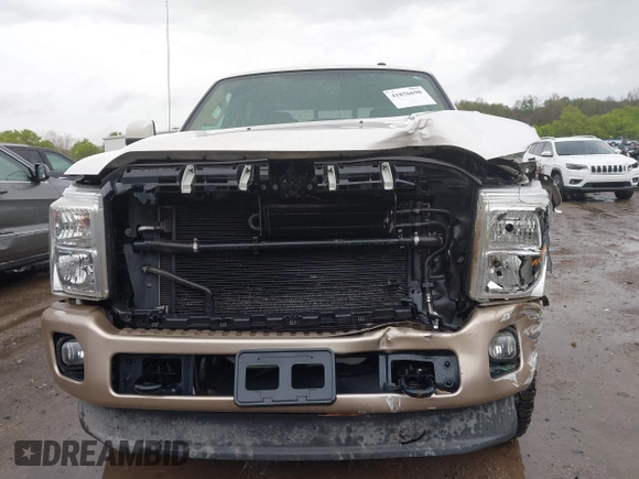 2013 Ford F-250 XL with VIN 1FT7W2BT6DEA95933, listed as a IAAI auction lot 41856698 with 168,236 mi miles and . Bid and sale history available at DreamBid. Image 6.