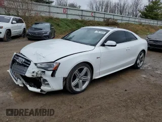 2013 Audi S5 Premium Plus with VIN WAUCGAFR4DA025095, listed as a Copart auction lot 79674454 with 133,807 mi miles and Clean Title. Bid and sale history available at carsss.com. Image 1.