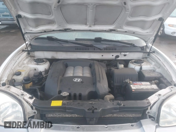 2003 Hyundai Santa Fe GLS with VIN KM8SC73D53U346562, listed as a IAAI auction lot 41706515 with 192,883 mi miles. Bid and sale history available at carsss.com. Image 10.