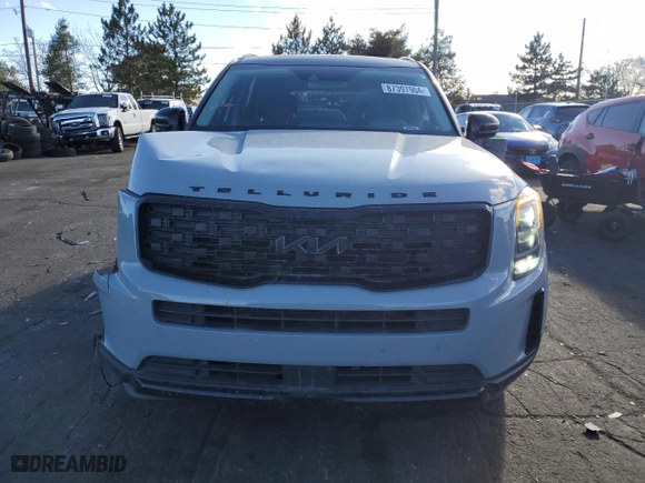 2022 Kia Telluride EX with VIN 5XYP3DHC3NG215711, listed as a Copart auction lot 87397904 with 66,884 mi miles and Salvage Title. Bid and sale history available at carsss.com. Image 5.
