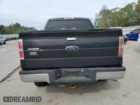 2010 Ford F-150 XL with VIN 1FTEW1C88AFC56624, listed as a Copart auction lot 50648135 with 228,961 mi miles and Salvage Title. Bid and sale history available at carsss.com. Image 6.