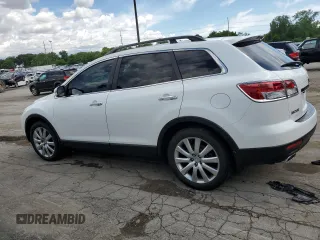 2009 Mazda CX-9 Touring with VIN JM3TB38AX90168304, listed as a Copart auction lot 56498644 with 278,458 mi miles and Salvage Title. Bid and sale history available at carsss.com. Image 2.