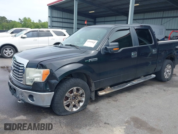 2010 Ford F-150 XL with VIN 1FTFW1EV6AFC64356, listed as a IAAI auction lot 41959894 with 246,154 mi miles and . Bid and sale history available at DreamBid. Image 6.