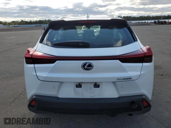 2022 Lexus UX with VIN JTHP9JBH7N2062261, listed as a Copart auction lot 53208905 with 23,920 mi miles and Clean Title. Bid and sale history available at carsss.com. Image 6.