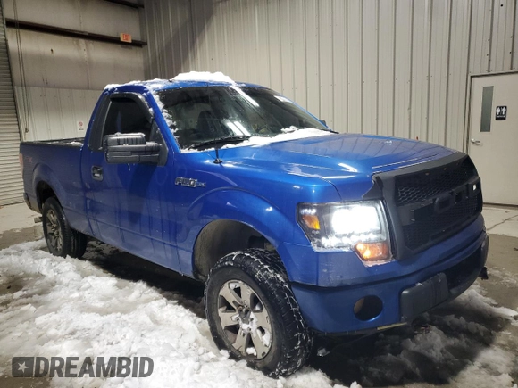 2013 Ford F-150 XL with VIN 1FTMF1EM2DFD99692, listed as a Copart auction lot 87008554 with 165,169 mi miles and Clean Title. Bid and sale history available at DreamBid. Image 4.