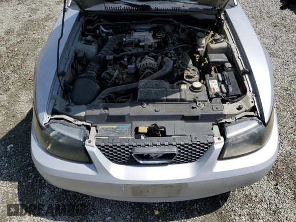 2003 Ford Mustang GT Deluxe with VIN 1FAFP42X93F311182, listed as a Copart auction lot 51703045 with 239,232 mi miles and Clean Title. Bid and sale history available at carsss.com. Image 11.