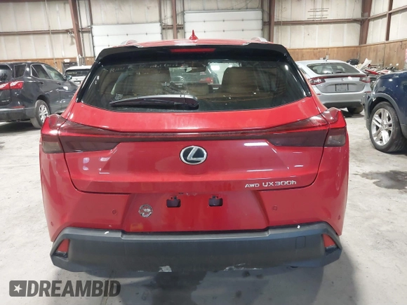 2025 Lexus UX 300h с VIN JTHUCJDH8S2004933, выставлен на аукционе IAAI как лот 41584822 с пробегом 722 миль миль и . История ставок и продаж доступна на DreamBid. Изображение 16.