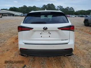 2019 Lexus NX 300 with VIN JTJYARBZ9K2150855, listed as a Copart auction lot 55296355 with Not provided miles and Salvage title. Bid and sale history available at DreamBid. Image 6.