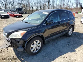 2009 Honda CR-V EX-L with VIN 5J6RE38759L011075, listed as a Copart auction lot 49556205 with 183,305 mi miles and Salvage Title. Bid and sale history available at carsss.com. Image 1.