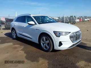 2019 Audi e-tron Premium Plus z VIN WA1LABGEXKB020765, wystawiony jako IAAI lot #42374055 z przebiegiem 53 673 mil mil oraz . Historia ofert i sprzedaży dostępna na DreamBid. Obrazek 1.