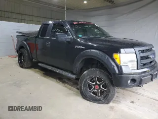 2014 Ford F-150 XL with VIN 1FTEX1EM2EFB44866, listed as a Copart auction lot 57209585 with Not provided miles and Clean title. Bid and sale history available at DreamBid. Image 4.