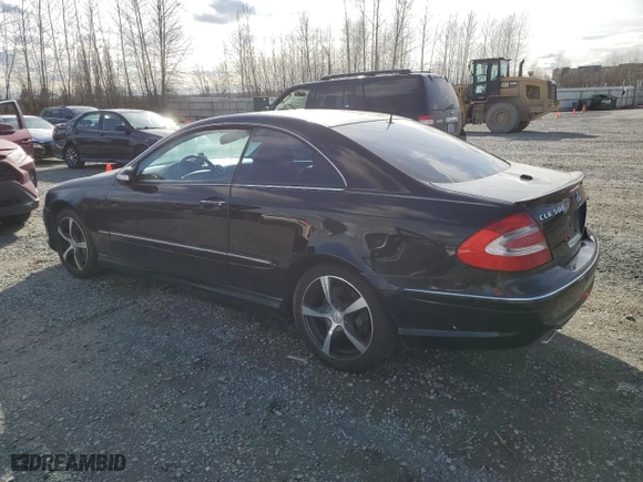 2005 Mercedes-Benz CLK-Class 5.0L with VIN WDBTJ75J55F165095, listed as a Copart auction lot 46005295 with 0 mi miles and Clean Title. Bid and sale history available at carsss.com. Image 2.