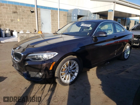 2015 BMW 2 Series 228i xDrive with VIN WBA1F7C50FVX96051, listed as a Copart auction lot 43630094 with 106,267 mi miles. Bid and sale history available at carsss.com. Image 1.