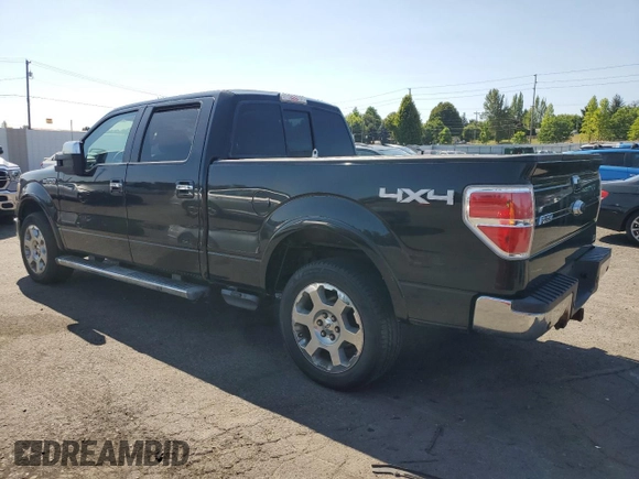 2010 Ford F-150 XL with VIN 1FTFW1EV9AFA31023, listed as a Copart auction lot 65806495 with 192,985 mi miles and Clean title. Bid and sale history available at DreamBid. Image 2.