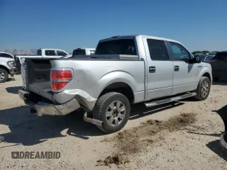 2009 Ford F-150 XL with VIN 1FTRW128X9FA85194, listed as a Copart auction lot 47209825 with 221,445 mi miles and Salvage Title. Bid and sale history available at carsss.com. Image 3.