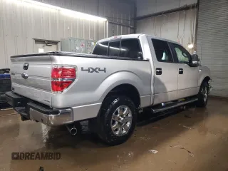 2013 Ford F-150 XL with VIN 1FTFW1EF1DFD38831, listed as a Copart auction lot 46692585 with 207,959 mi miles and Salvage Title. Bid and sale history available at DreamBid. Image 3.