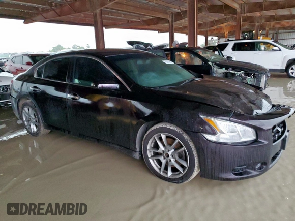2010 Nissan Maxima SV with VIN 1N4AA5AP8AC841306, listed as a Copart auction lot 60698265 with 117,853 mi miles and Salvage title. Bid and sale history available at DreamBid. Image 4.