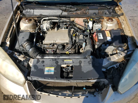 2006 Chevrolet Malibu Maxx LT with VIN 1G1ZT61836F104051, listed as a Copart auction lot 79287144 with 225,557 mi miles and Salvage Title. Bid and sale history available at carsss.com. Image 11.