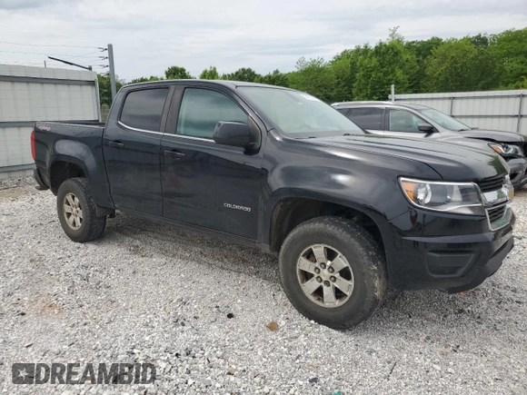 2017 Chevrolet Colorado 4WD WT with VIN 1GCGTBEN0H1314825, listed as a Copart auction lot 54017085 with 171,989 mi miles and Salvage title. Bid and sale history available at DreamBid. Image 4.