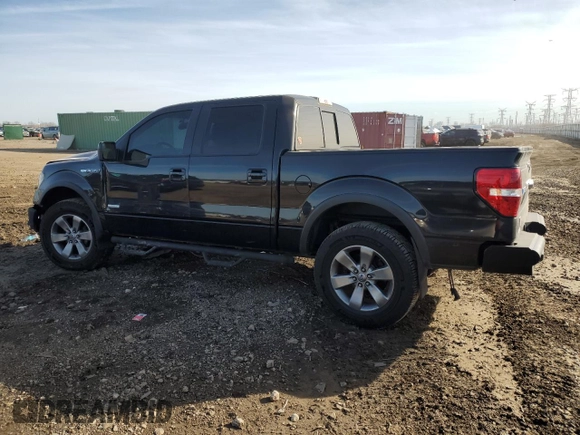 2012 Ford F-150 XL with VIN 1FTFW1ET5CFA99529, listed as a Copart auction lot 48192955 with 140,289 mi miles and Salvage Title. Bid and sale history available at carsss.com. Image 2.