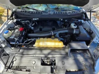 2019 Ford F-150 Limited with VIN 1FTEW1EG8KFB25182, listed as a Copart auction lot 53209395 with 101,177 mi miles and Clean Title. Bid and sale history available at carsss.com. Image 7.