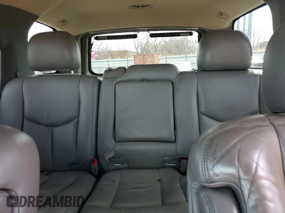 2003 Chevrolet Tahoe LS with VIN 1GNEK13ZX3R175556, listed as a Copart auction lot 50123875 with 193,444 mi miles and Salvage Title. Bid and sale history available at DreamBid. Image 10.