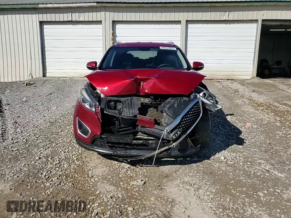 2017 Kia Sorento LX with VIN 5XYPG4A30HG249396, listed as a Copart auction lot 89054805 with 162,660 mi miles and Salvage Title. Bid and sale history available at carsss.com. Image 14.