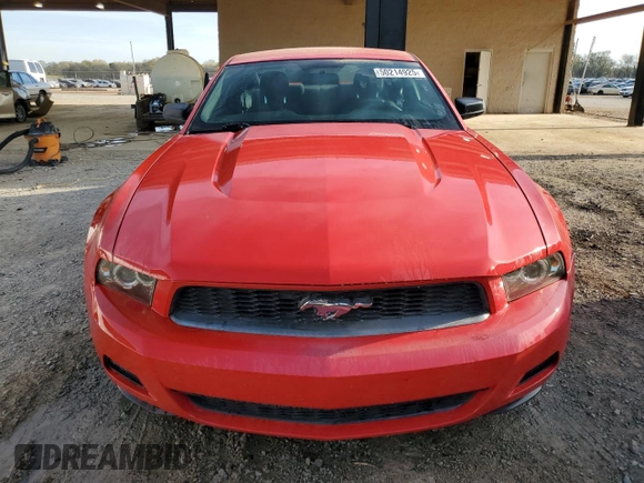 2010 Ford Mustang V6 with VIN 1ZVBP8AN4A5172398, listed as a Copart auction lot 50214925 with 113,094 mi miles and Salvage Title. Bid and sale history available at DreamBid. Image 5.